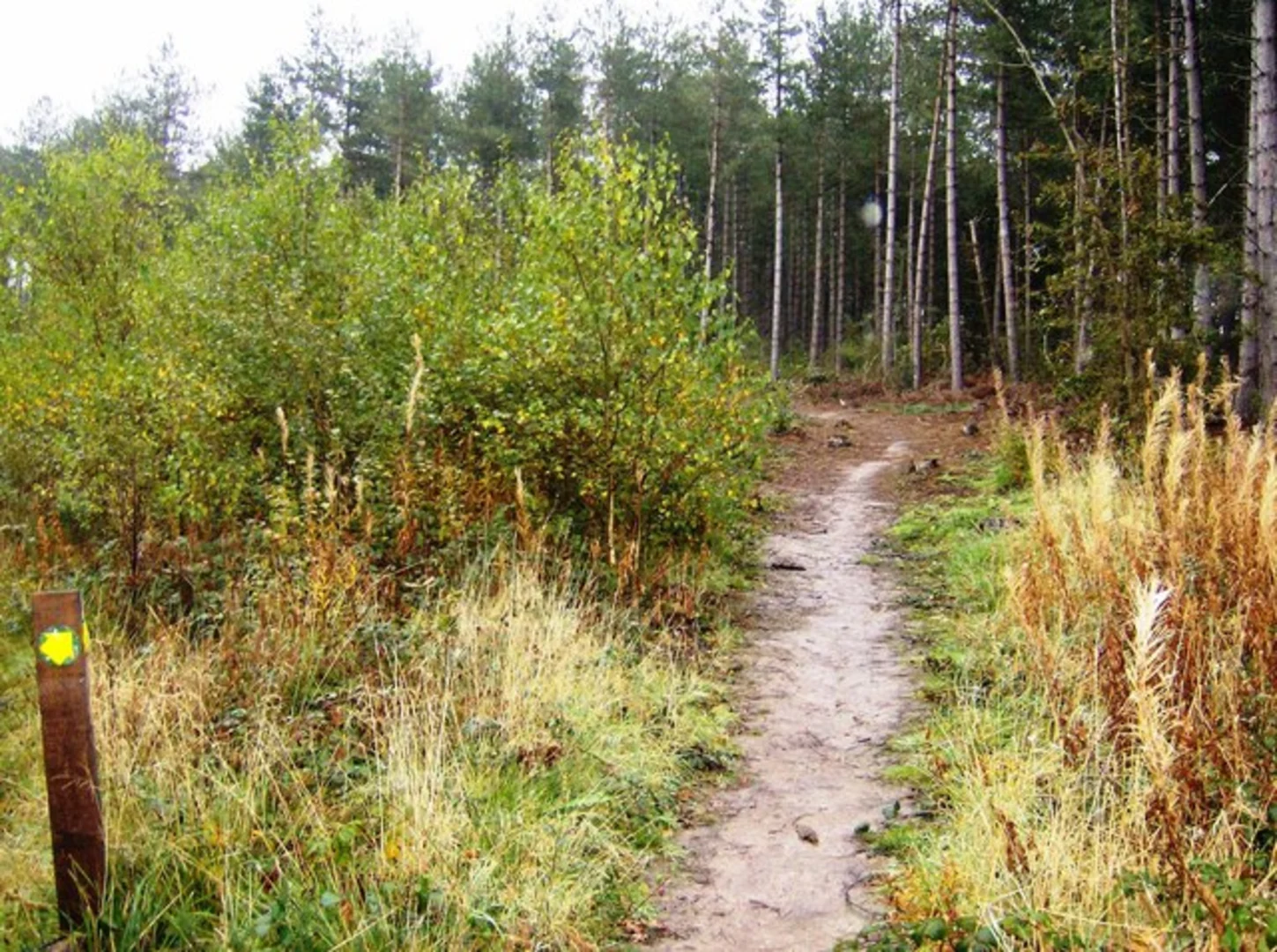 An image depicting the trail Norton to Cowes Walk and its surrounding area.