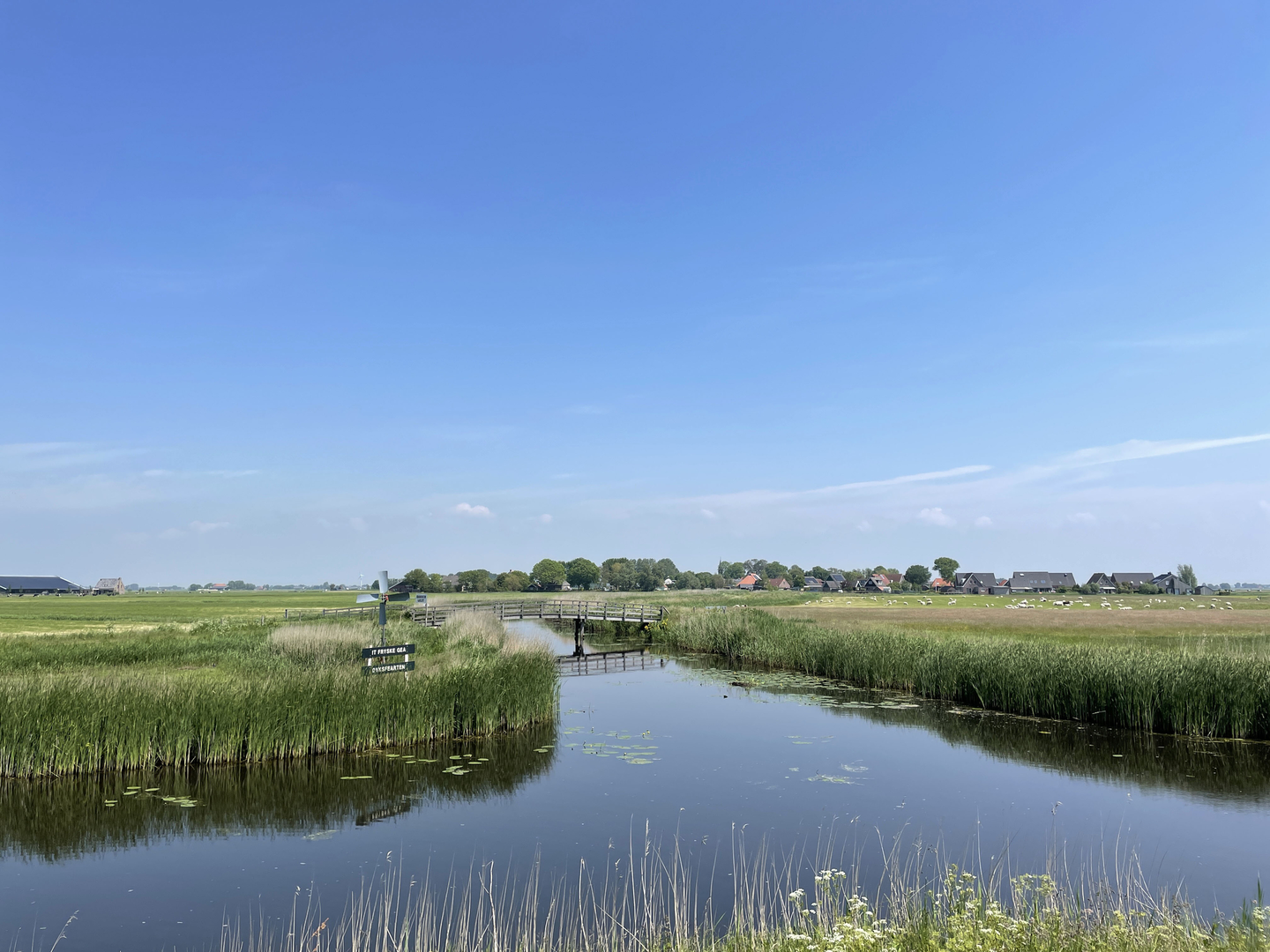An image depicting the trail Parregaastermeerpolder and Ferwoude Loop and its surrounding area.