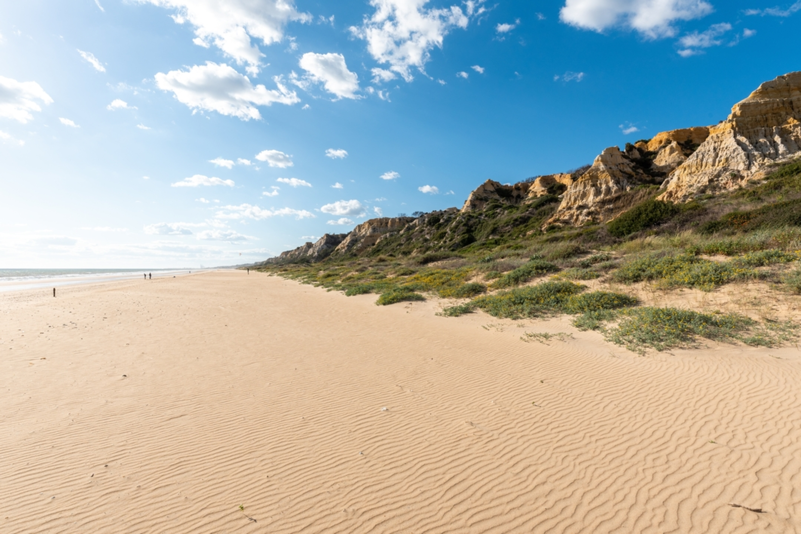 An image depicting the trail Playa de Cuesta Maneli – circular por el Parque Natural Doñana and its surrounding area.