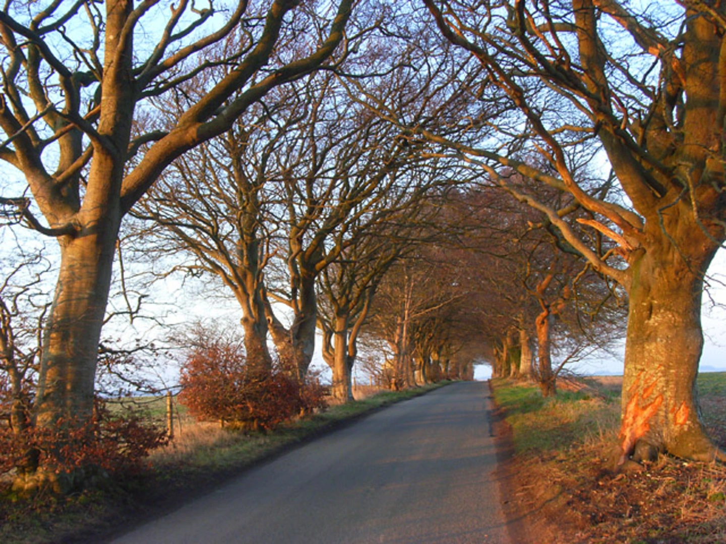 An image depicting the trail Bowerchalke and the Ox Drove from Broad Chalke and its surrounding area.