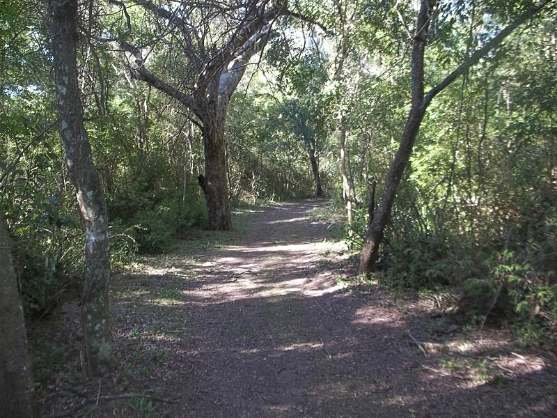 An image depicting the trail Chaco National Park and its surrounding area.