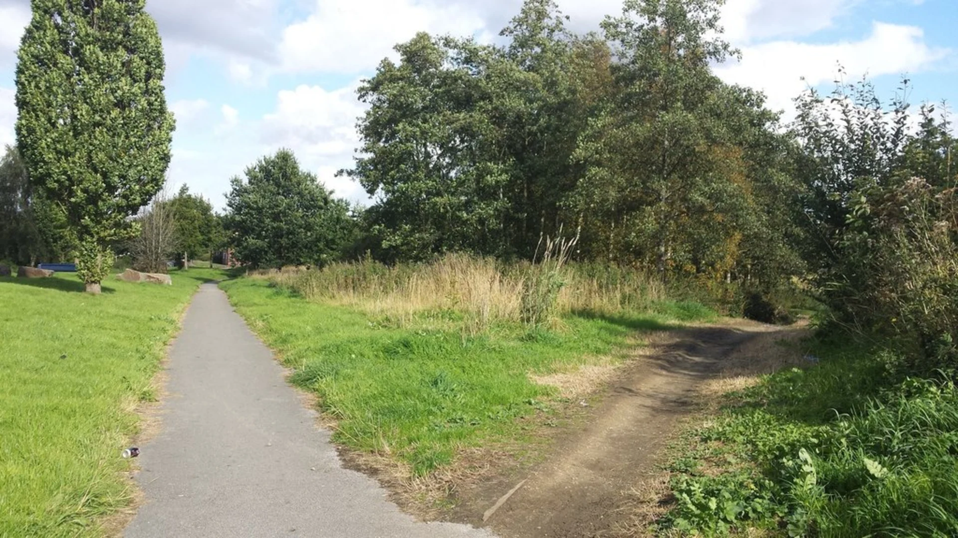 An image depicting the trail Newcastle Way - Staffordshire and its surrounding area.