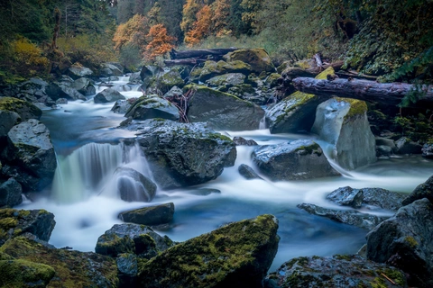 An image depicting the trail Staircase Rapids Nature Trail and its surrounding area.
