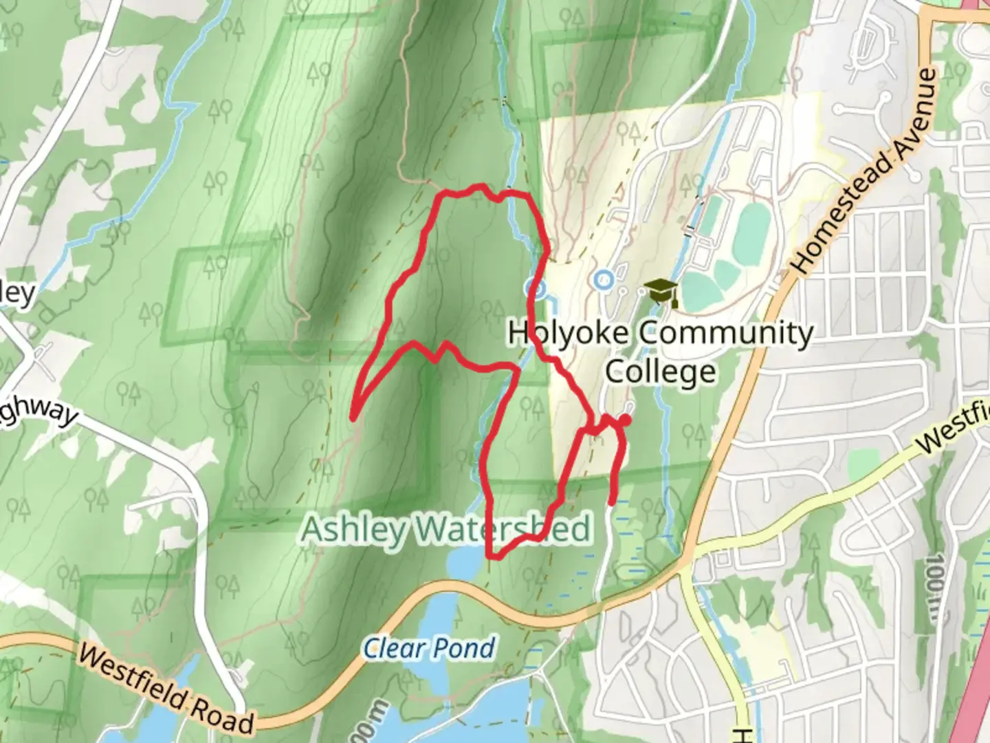 An image depicting the trail Ashley Watershed Loop and its surrounding area.