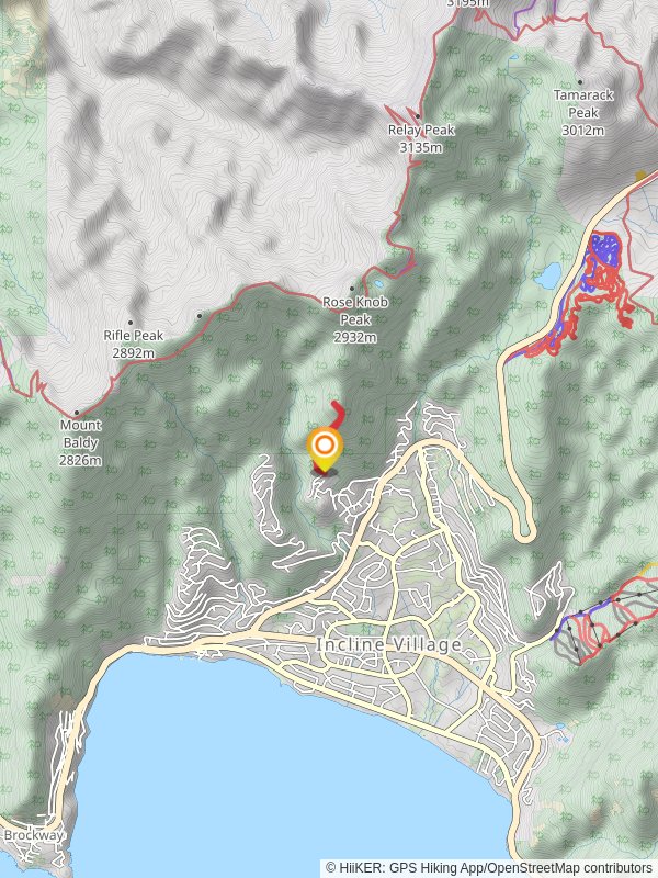 Allison Ridge - Short