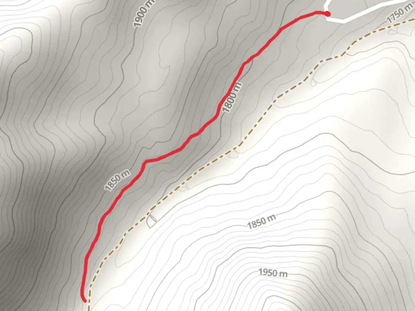 An image depicting the trail South Fork Waldron Terra Trail and its surrounding area.