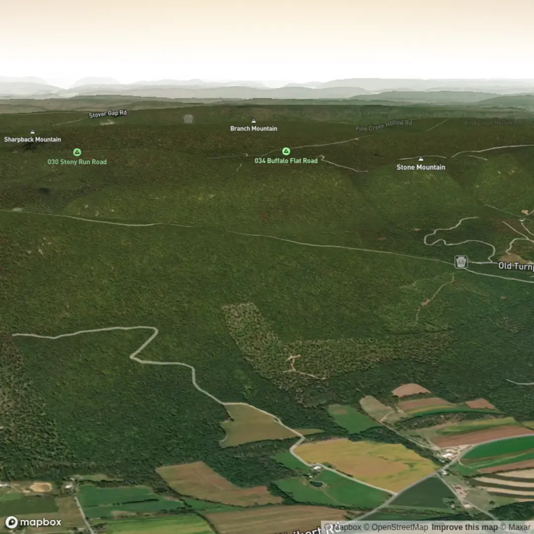 An image depicting the trail Laurel Run Trail Out and Back and its surrounding area.