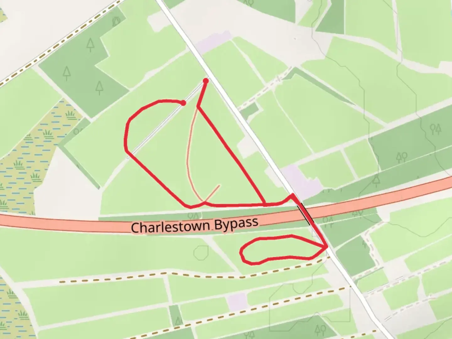 An image depicting the trail Martin Neary Woodland Walk and its surrounding area.