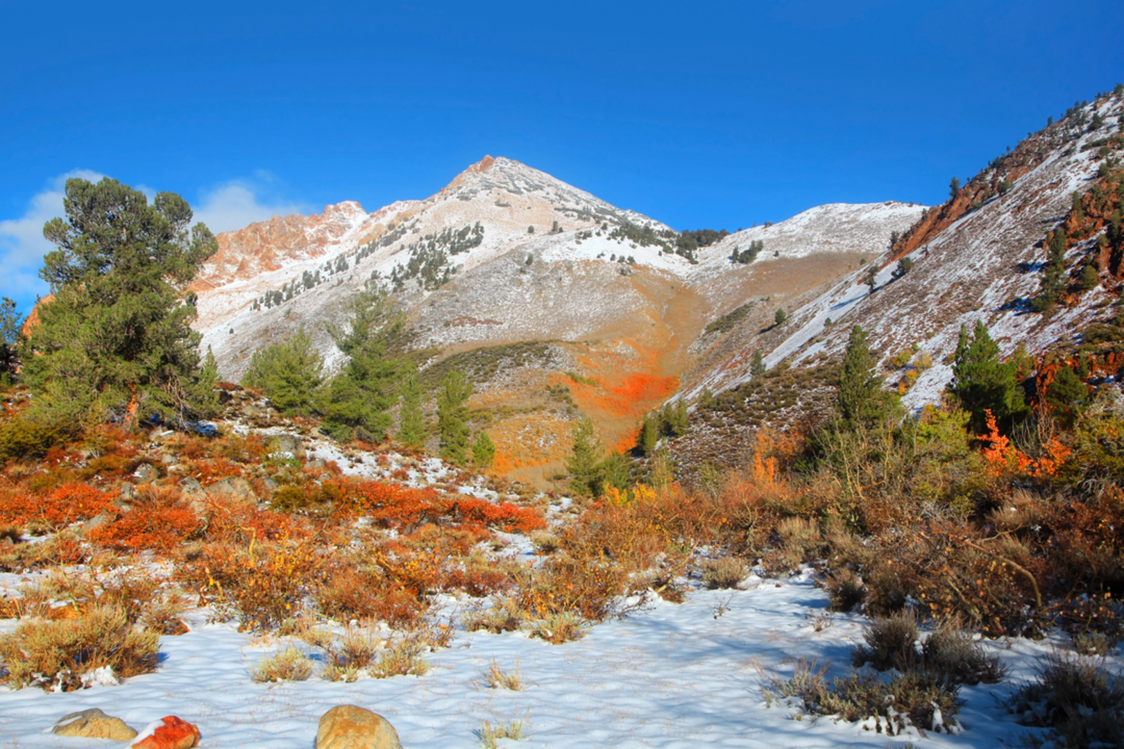 An image depicting the trail Emerson Creek Trail and its surrounding area.