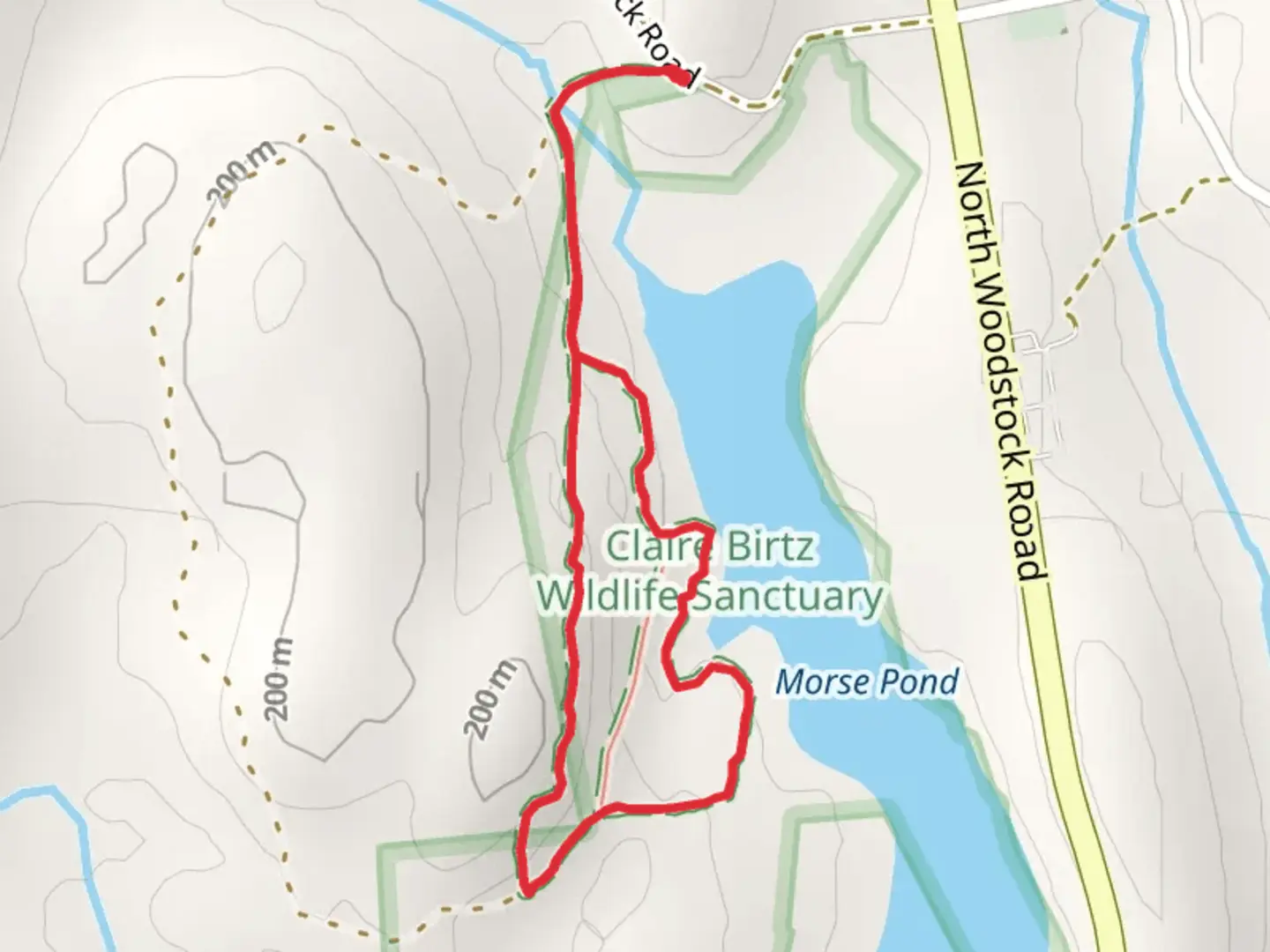 An image depicting the trail Blue Trail, Morse Pond and Yellow Trail Loop and its surrounding area.