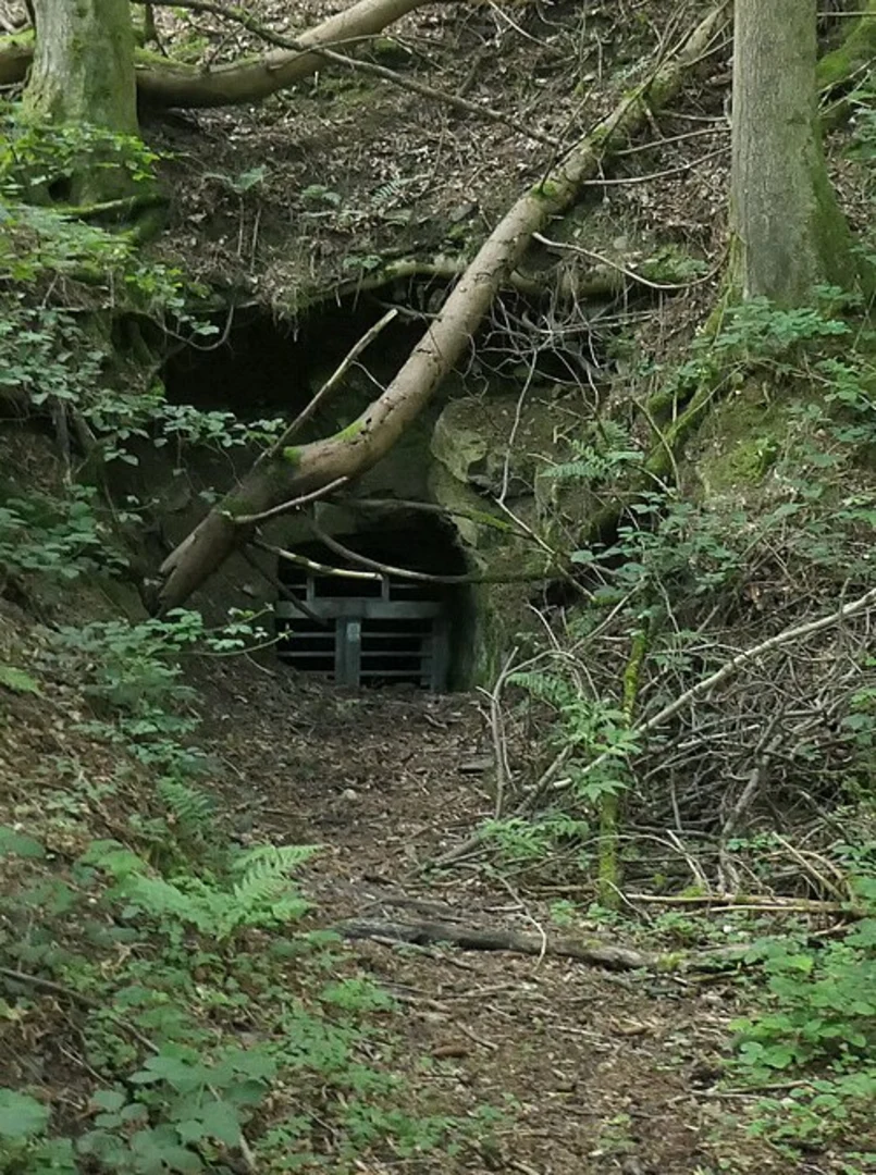 An image depicting the trail Tiefenbachtal bei Simmerath mit Nebenbächen via Matthiasweg and Tiefenbachtal and its surrounding area.