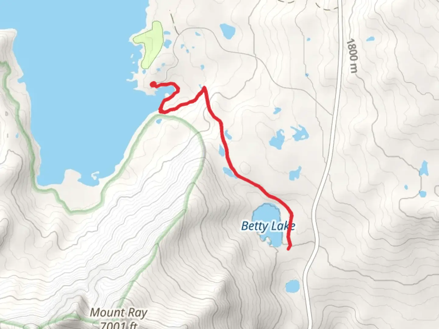 An image depicting the trail Betty Lake and its surrounding area.