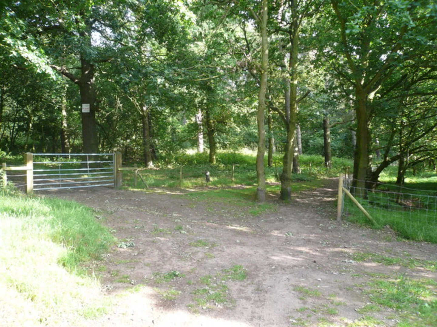 An image depicting the trail Walesby Forest Loop and its surrounding area.