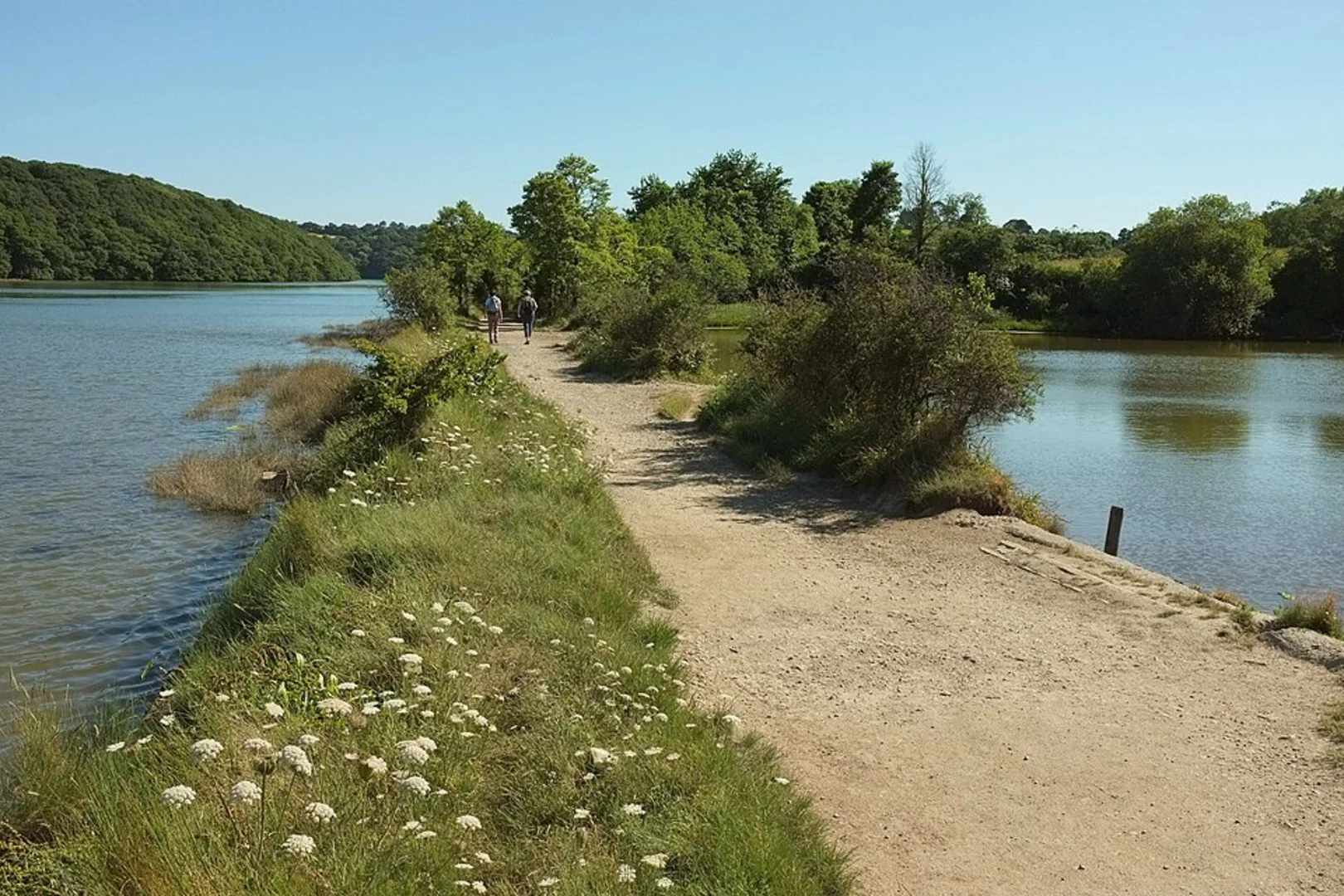 An image depicting the trail St Clement and Tresemple Pond Loop from Truro and its surrounding area.