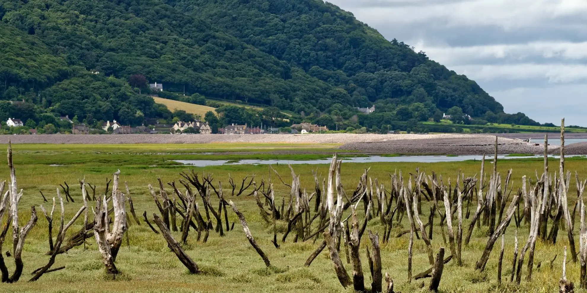 An image depicting the trail Minehead to Porlock Weir Walk and its surrounding area.