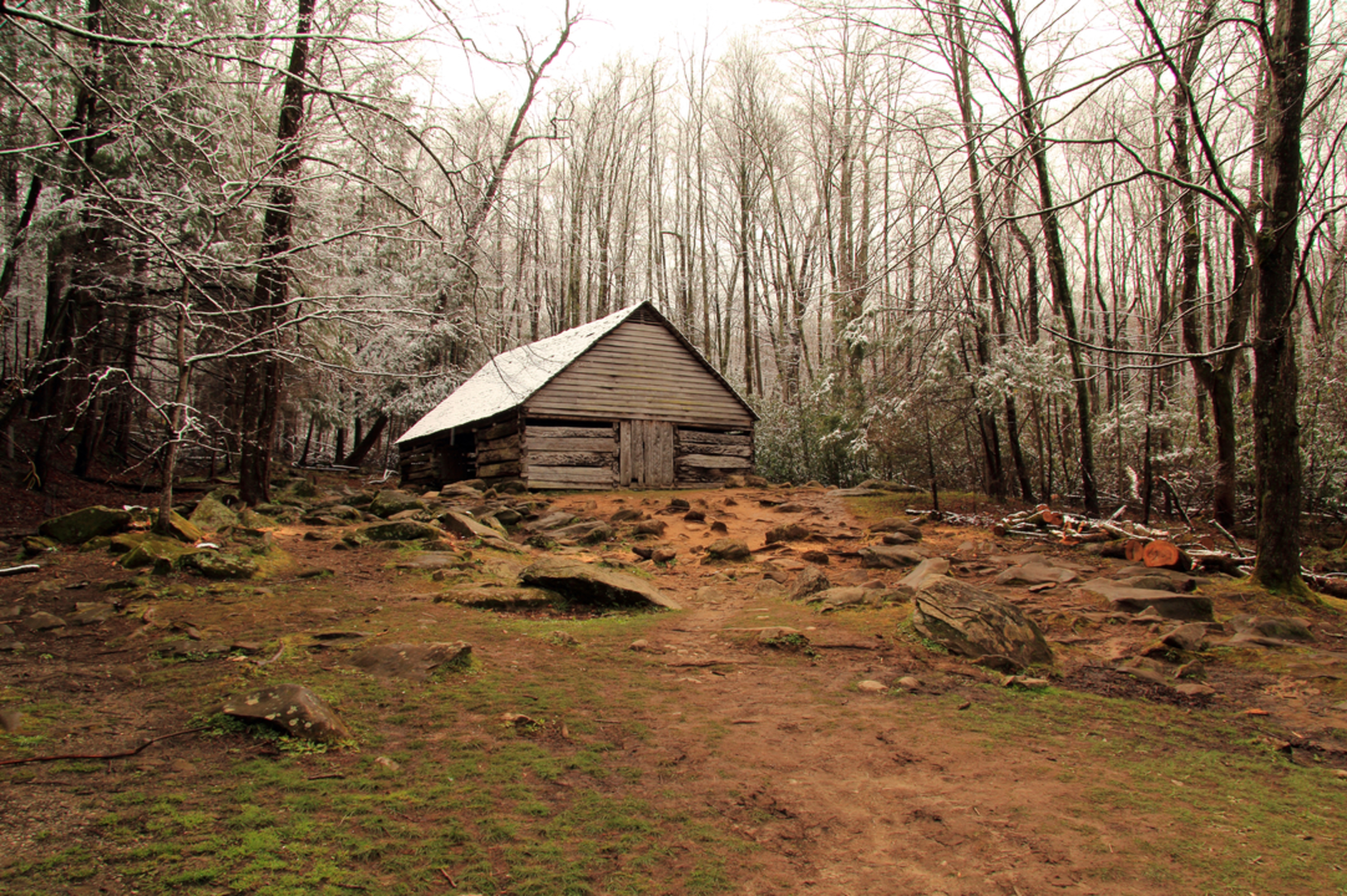 An image depicting the trail Noah Bud Ogle Place Nature Trail and its surrounding area.
