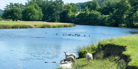 An image depicting the trail Chepstow to Berwick - upon - Tweed - Great English Walk and its surrounding area.