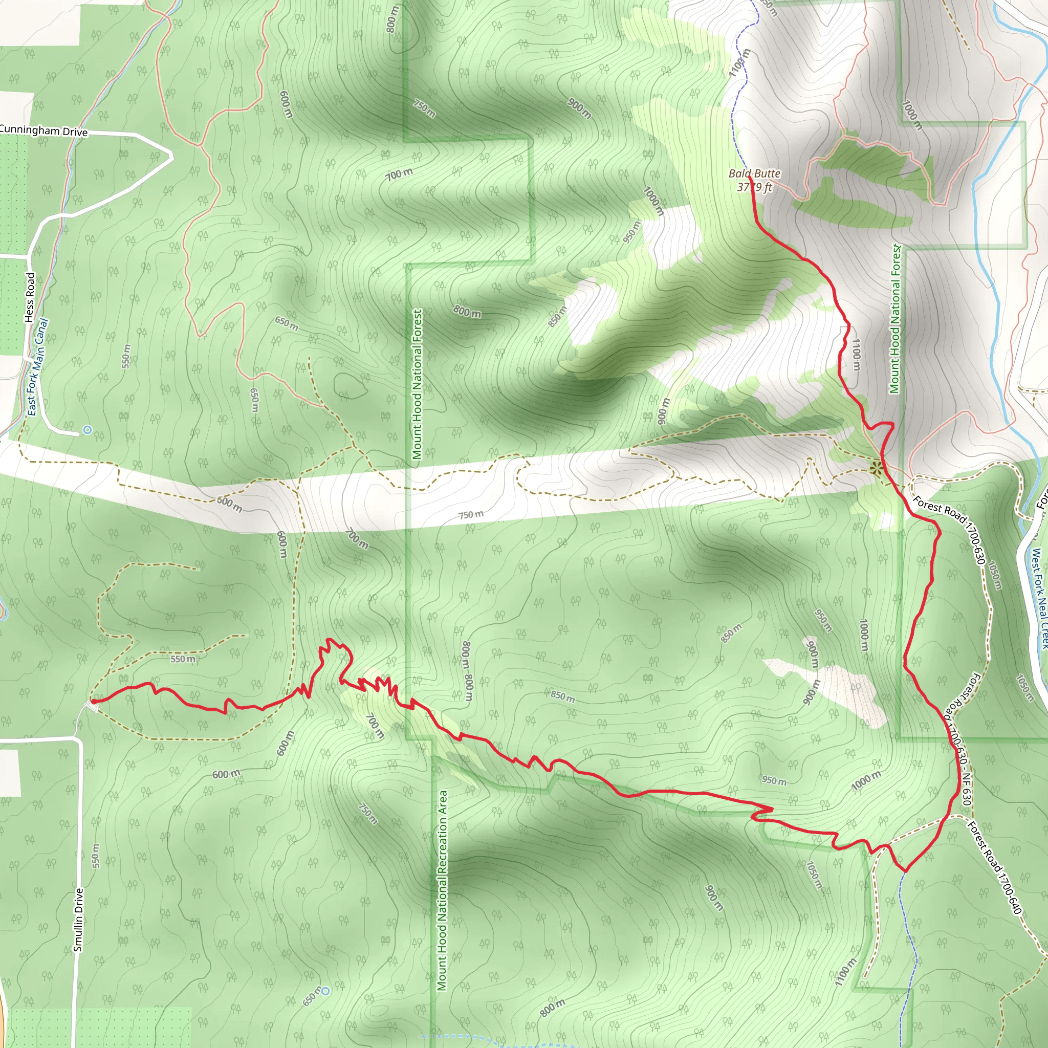 Bald Butte via Oak Ridge Trail mobile static map
