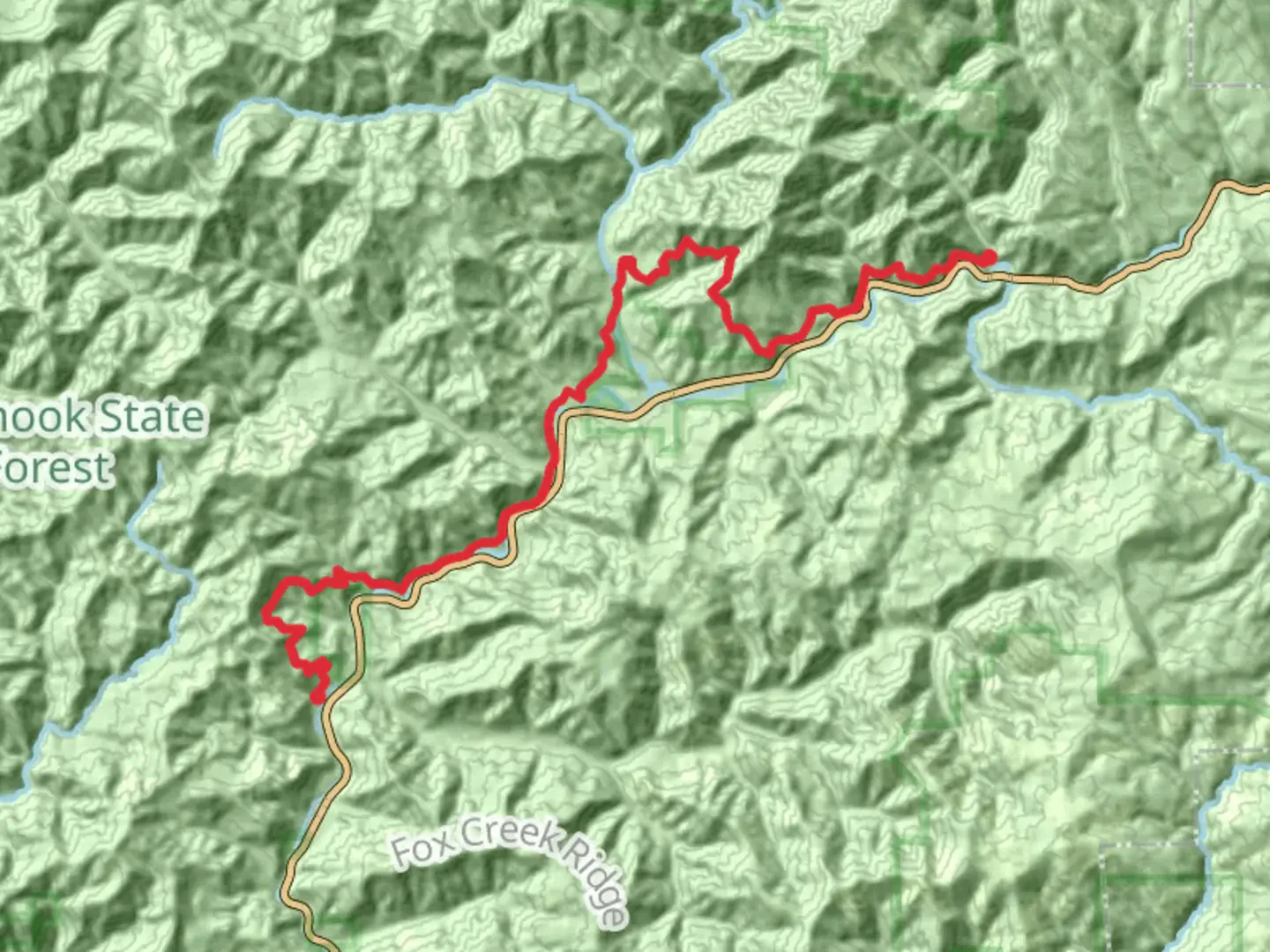 An image depicting the trail Wilson River Trail from Elk Creek Road - West and its surrounding area.