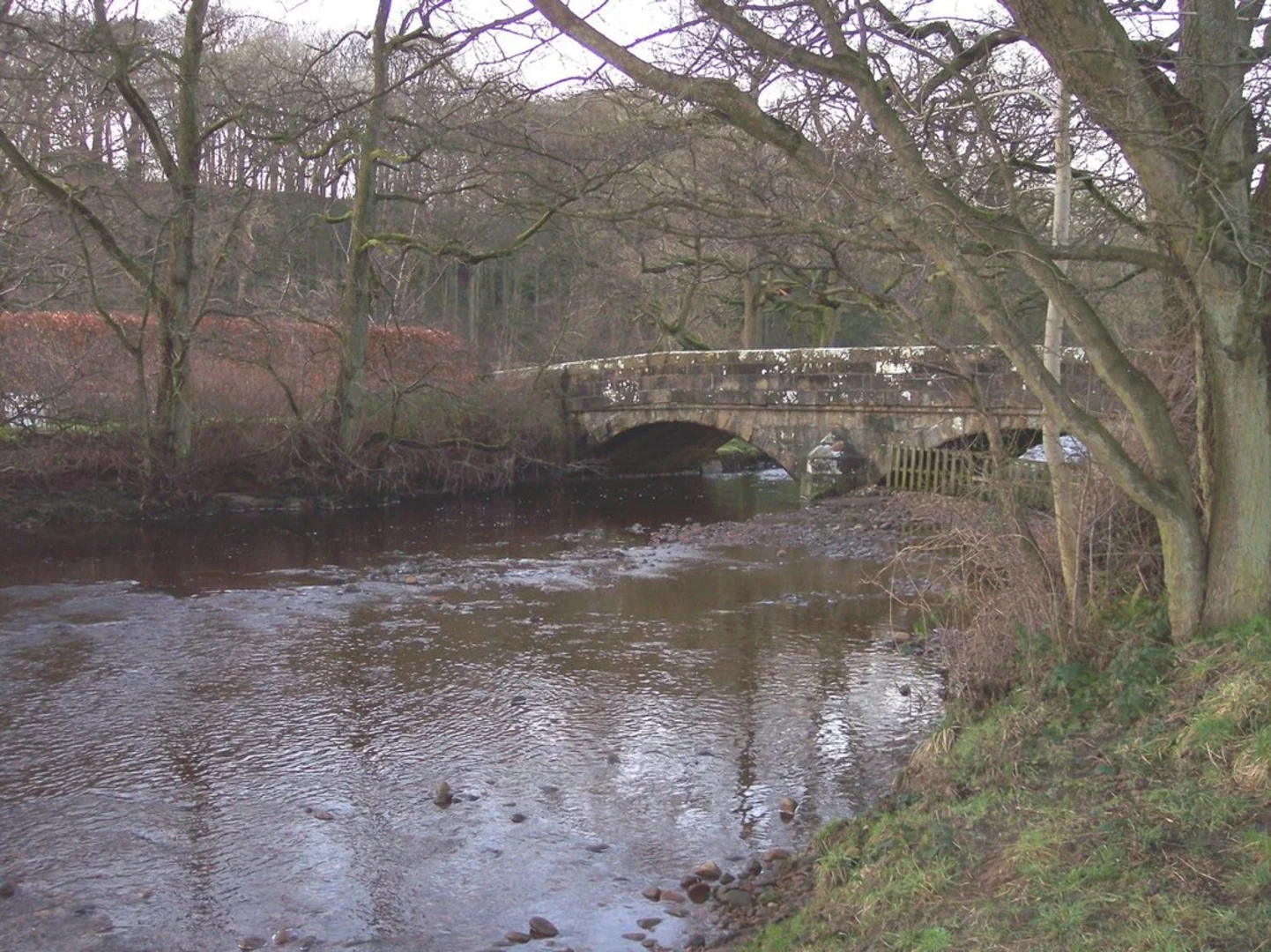 An image depicting the trail Abbeystead, Marshaw and Tarnbrook Loop and its surrounding area.