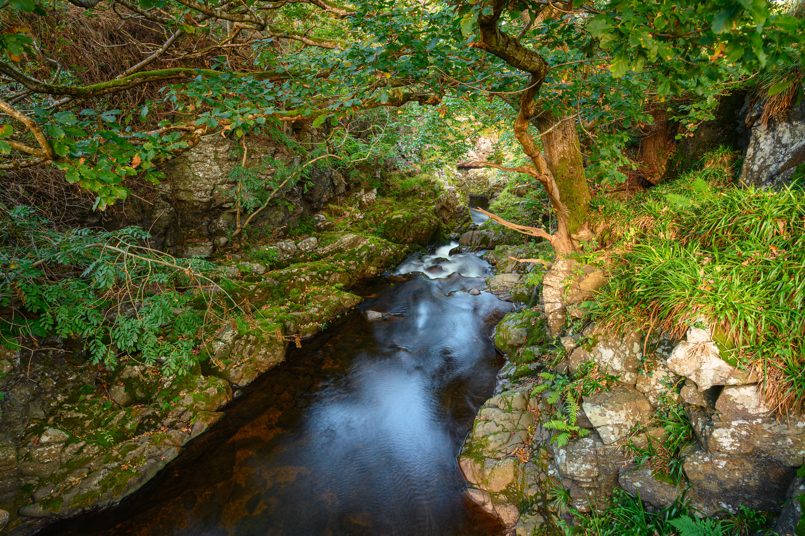 An image depicting the trail Hethpool - Sutherland Bridge and Great Hetha and its surrounding area.