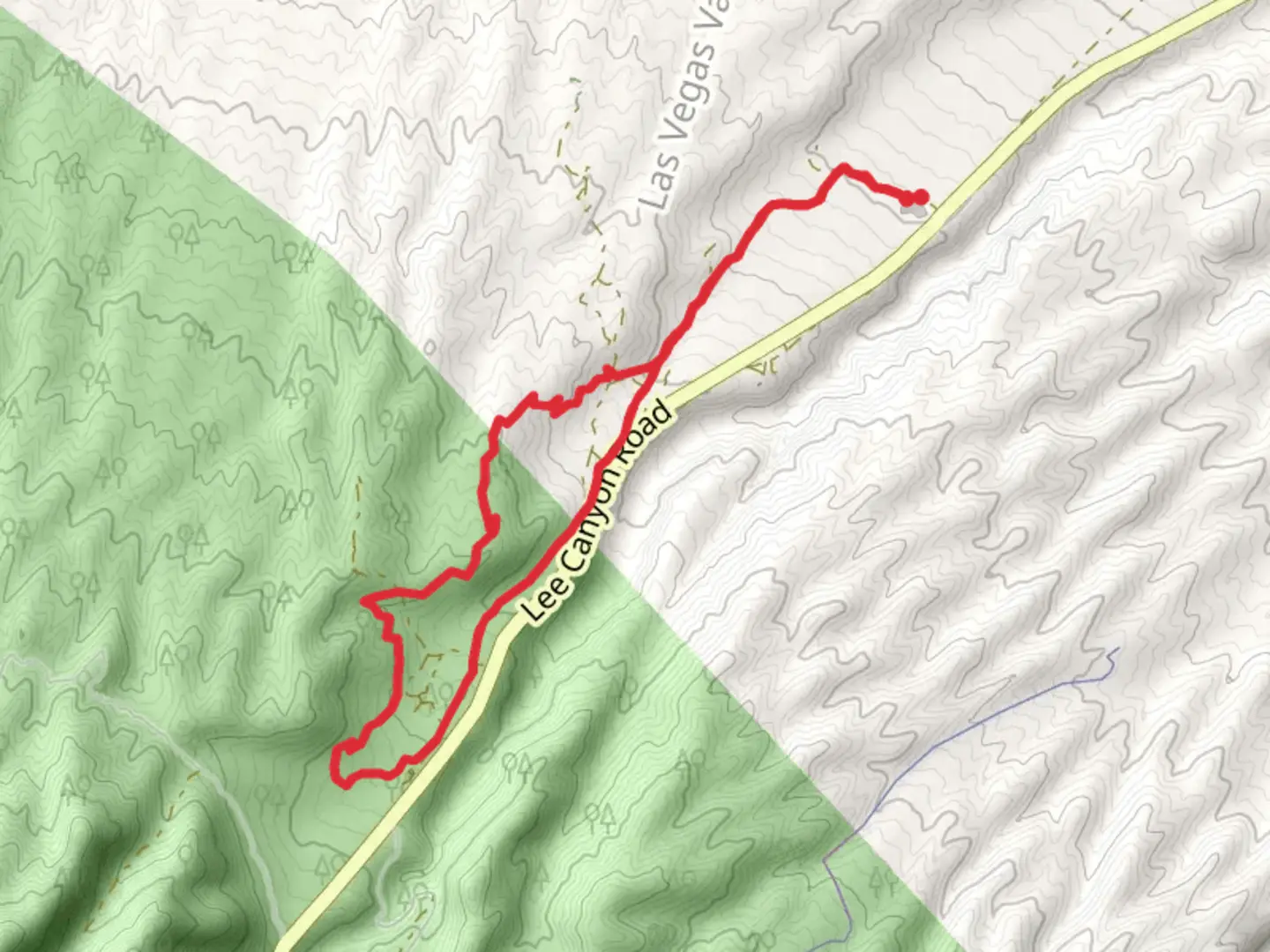 An image depicting the trail Blue Tree Run Loop and its surrounding area.