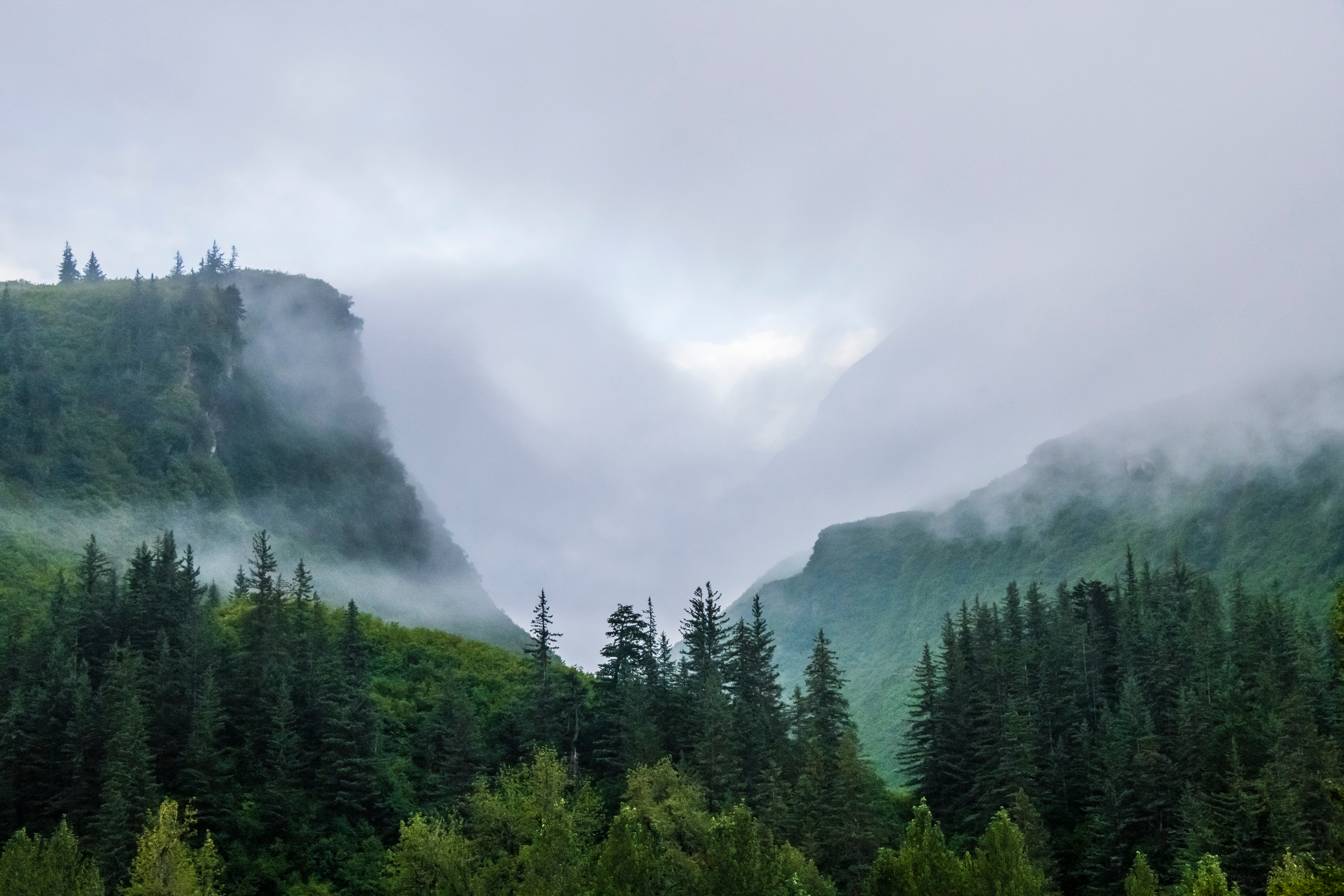 An image depicting the trail Chugach National Forest and its surrounding area.