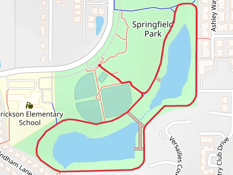 Springfield Park Loop
