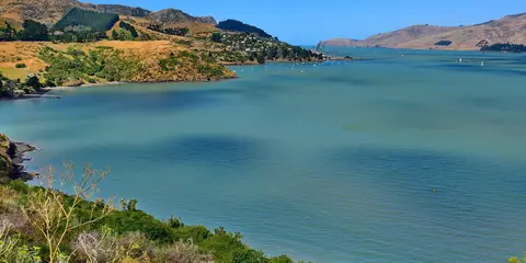 An image depicting the trail Mount Herbert Walkway and its surrounding area.