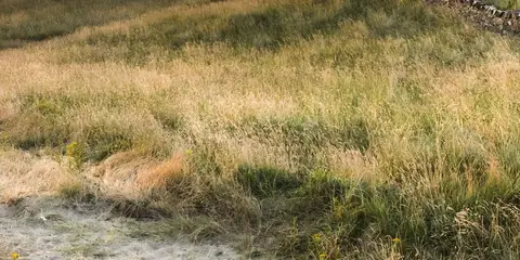 An image depicting the trail Killaspugbrone Loop and its surrounding area.