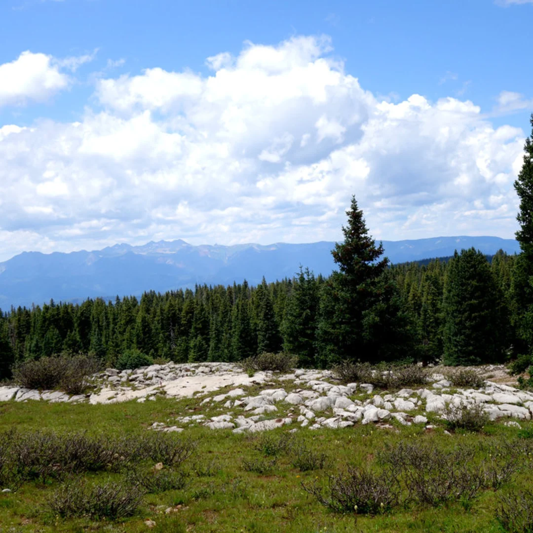 An image depicting the trail Shearer Creek Trail and its surrounding area.