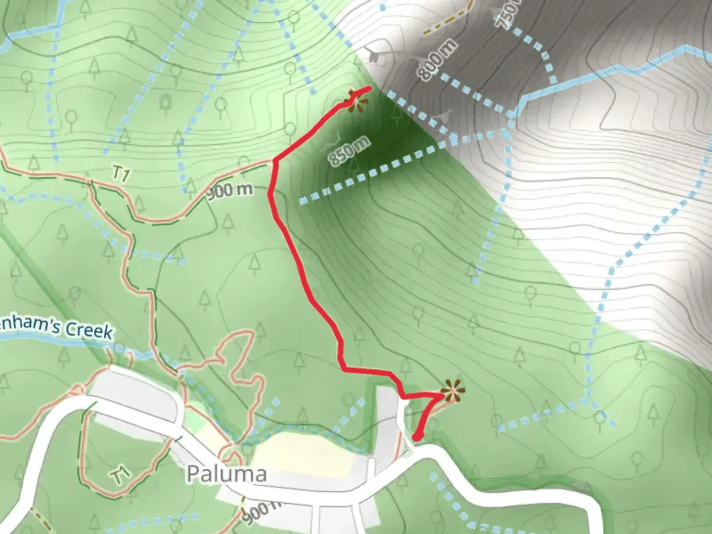 An image depicting the trail Witts Lookout Walk and its surrounding area.