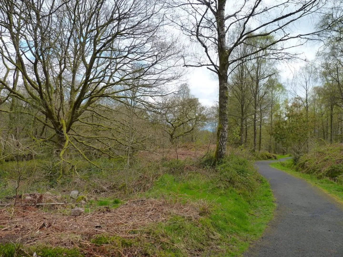 An image depicting the trail Doon Hill from Aberfoyle and its surrounding area.
