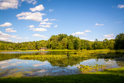 An image depicting the trail Kendall Lake Loop Trail and its surrounding area.