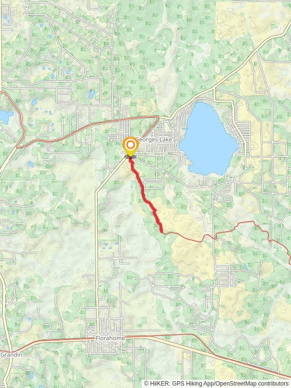 Florida Trail - Tinsley Road mobile static map