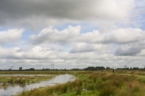 Molenpad, Polderpad and Strand Weg Loop