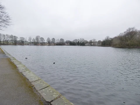 Harold Park and Horsfall Stadium Loop