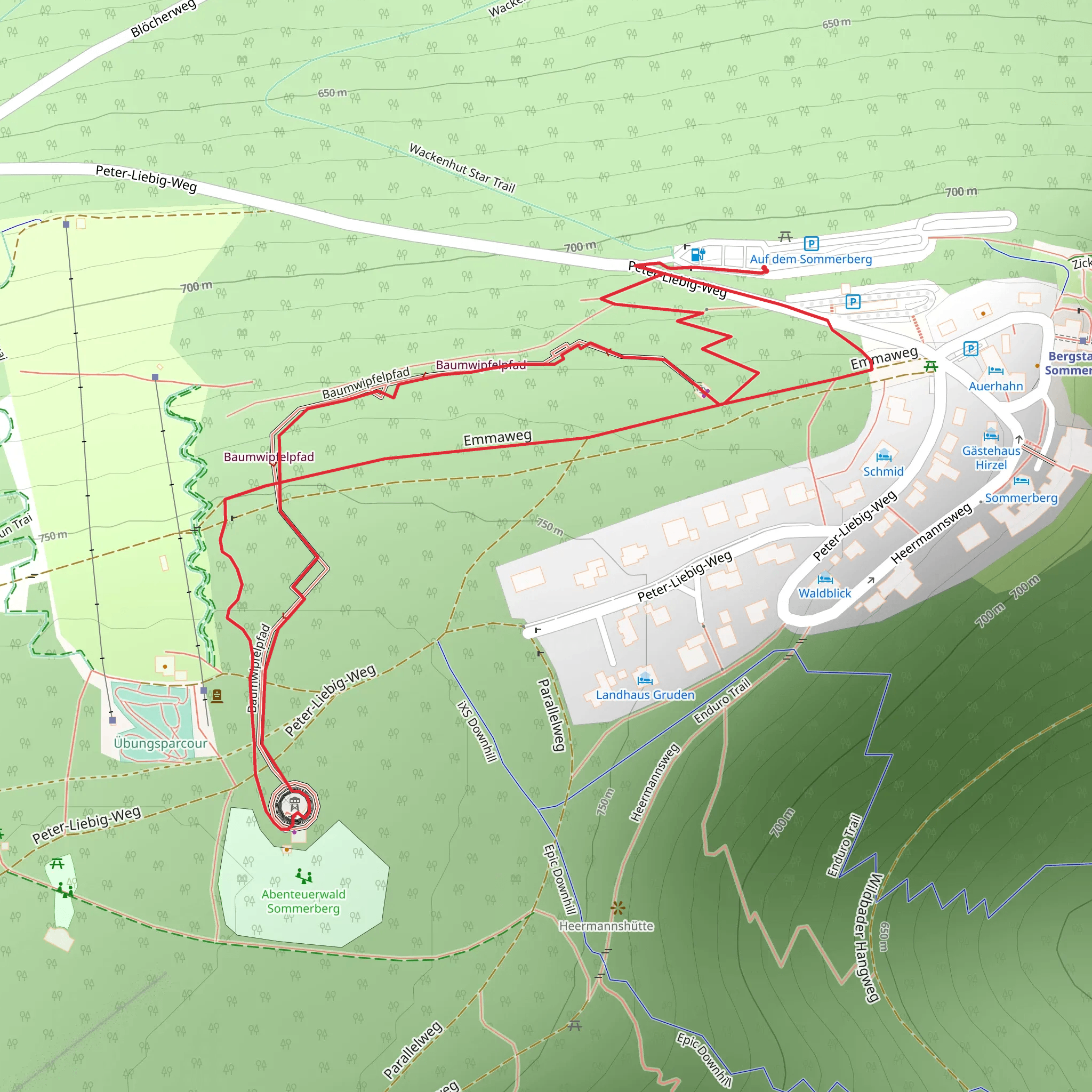 Baumwipfelpfad and Emmaweg Loop mobile static map