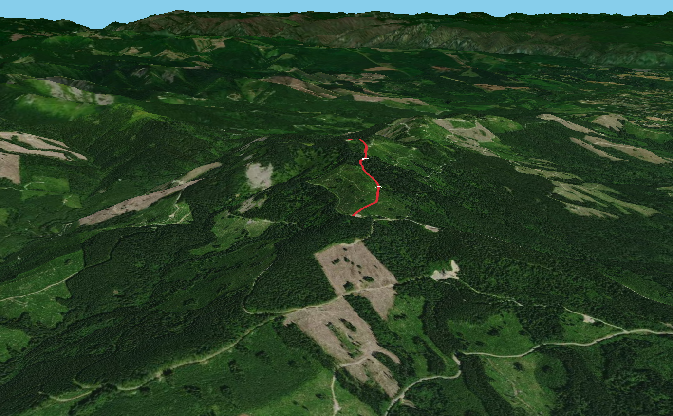 Larch Mountain Out and Back