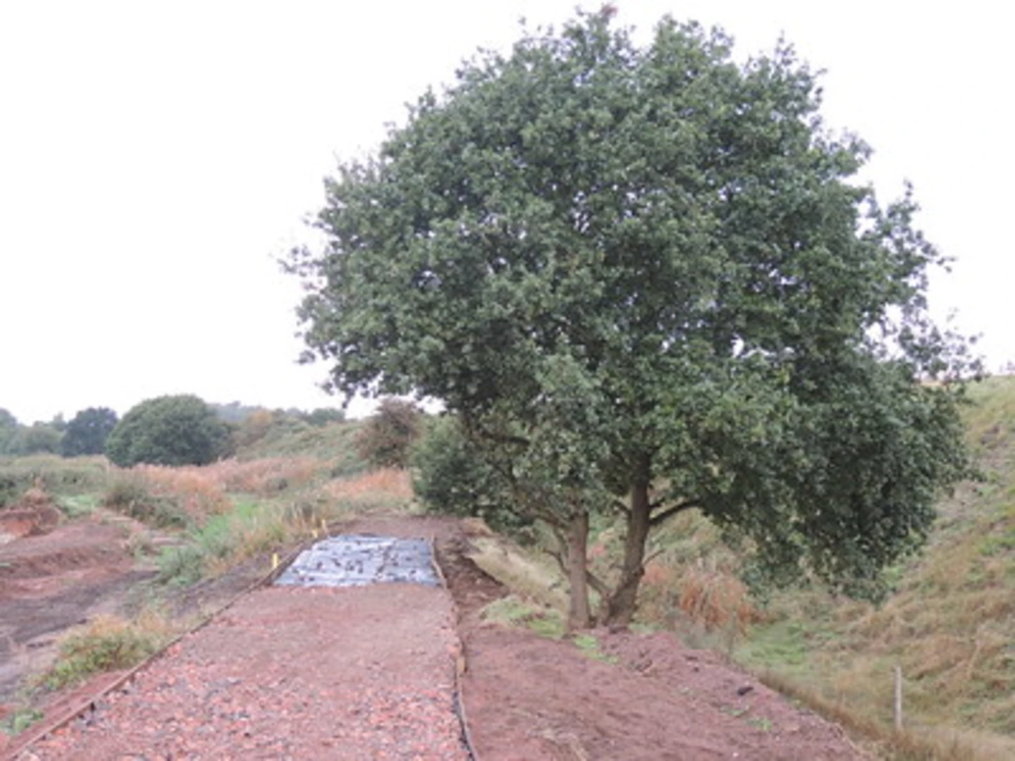 An image depicting the trail Fosseway heath Nature Reserve and Wetlands Loop and its surrounding area.