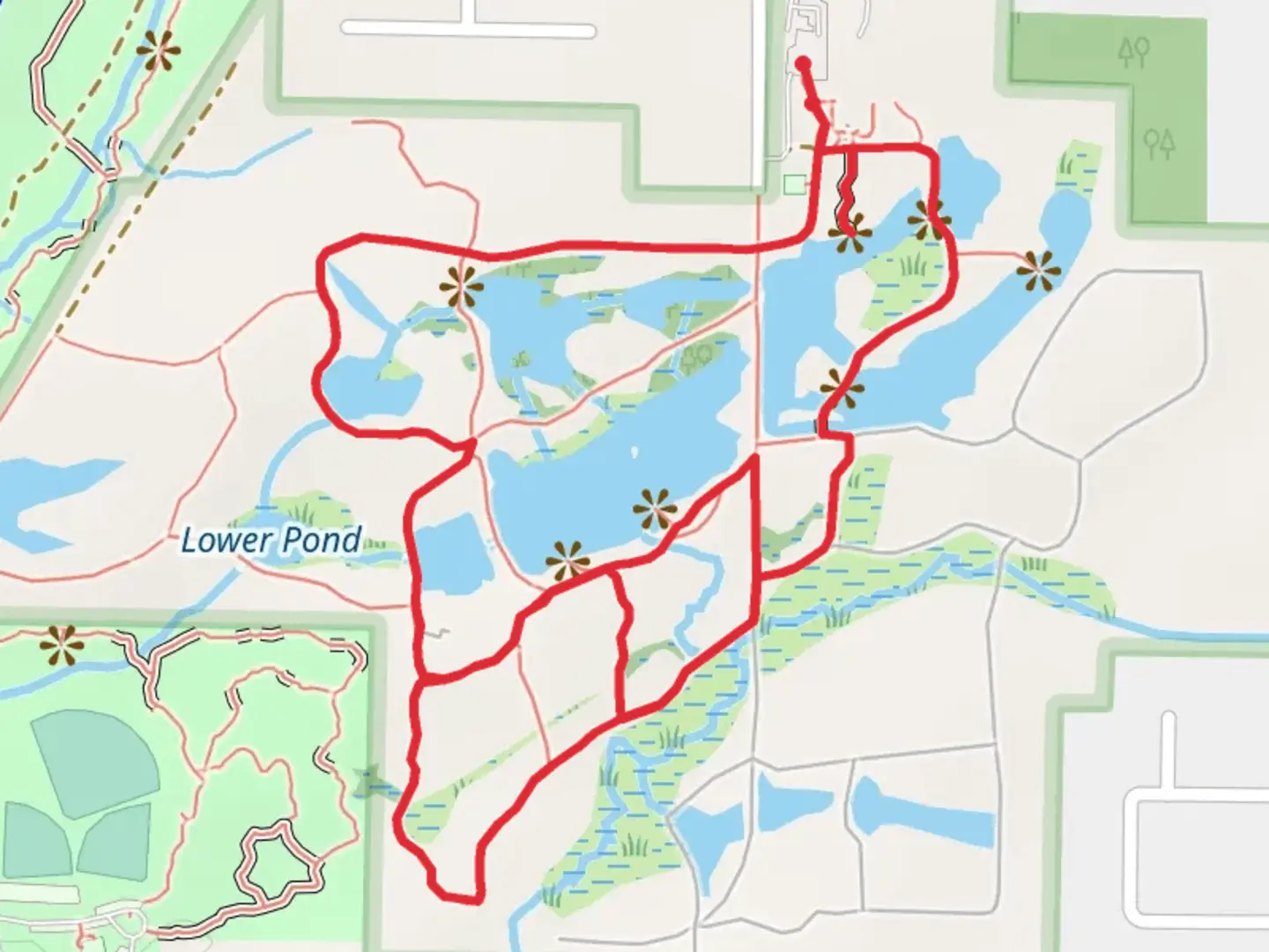 An image depicting the trail Flattail Lake - Hidden Pond and Lily Pond Loop and its surrounding area.