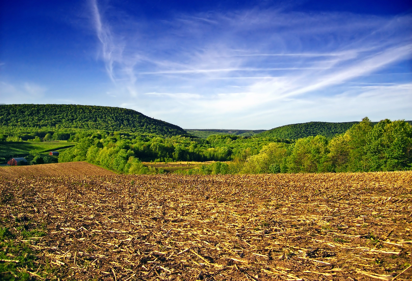 An image depicting the trail Schuylkill Mountain Ridge Trail and its surrounding area.