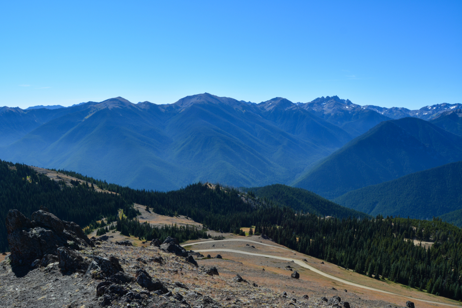 An image depicting the trail Rainshadow Trail and its surrounding area.