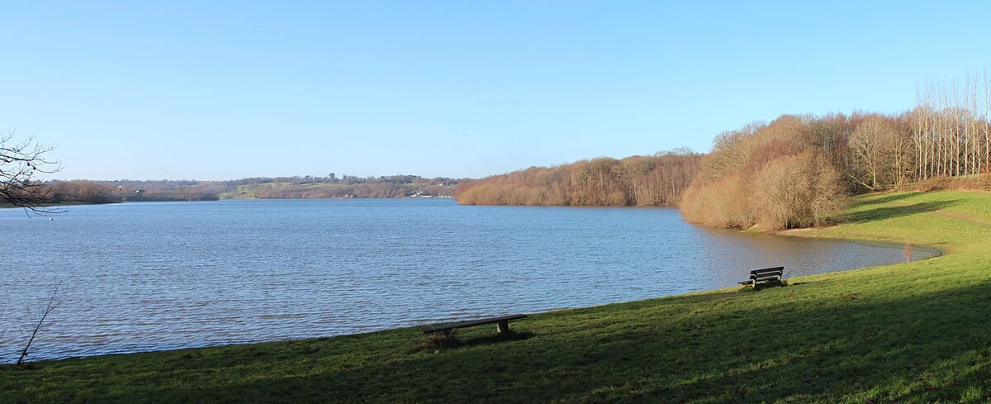 An image depicting the trail Cousley Wood to Hawkhurst Walk via Bewl Water and its surrounding area.