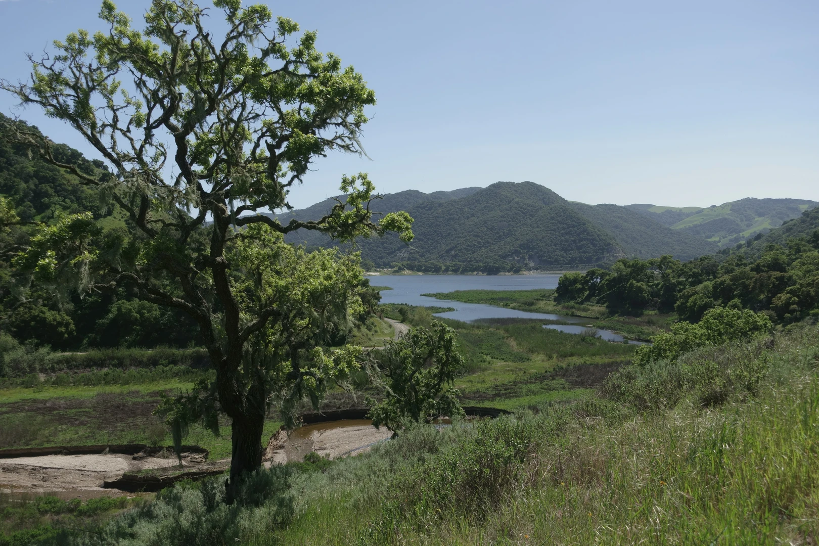 An image depicting the trail Dune Vista Loop and Duana Vista Spur Trail and its surrounding area.