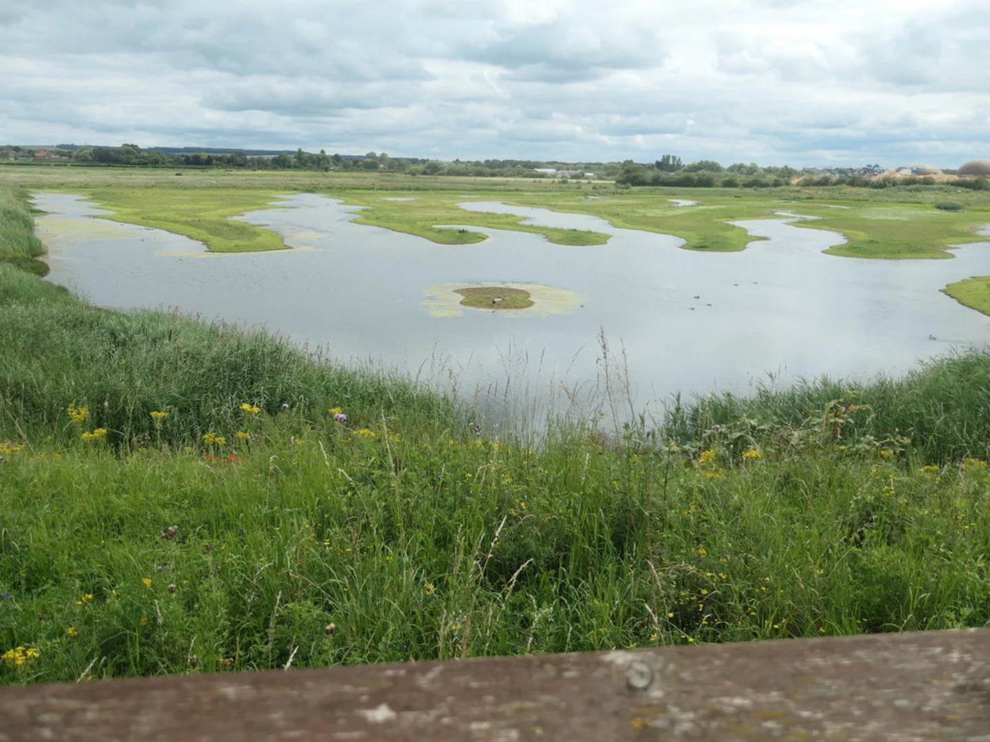 An image depicting the trail North Cave Wetlands Loop and its surrounding area.