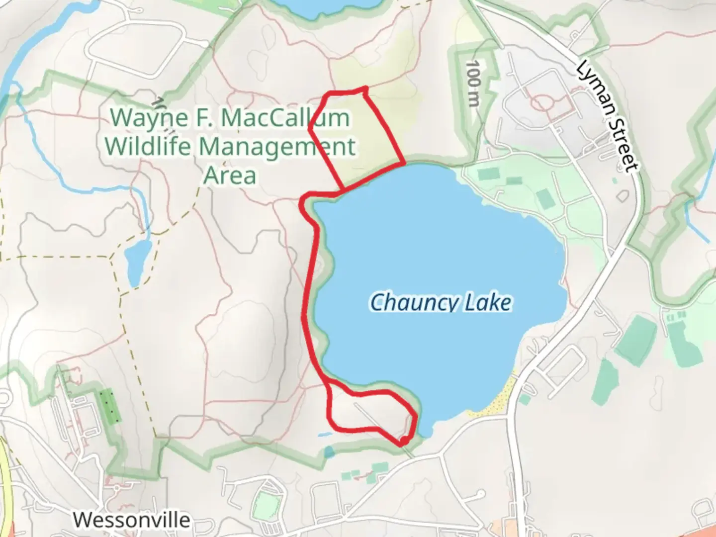 An image depicting the trail Walk along Chauncy Lake and its surrounding area.