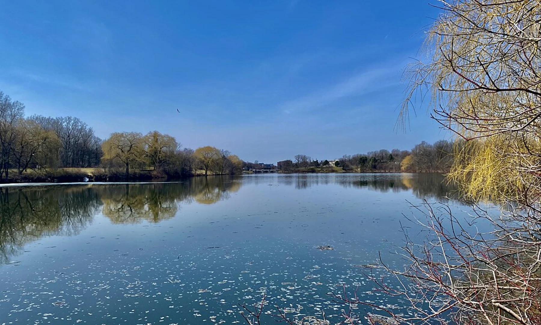 An image depicting the trail Hoyt Lake Loop Trail and its surrounding area.