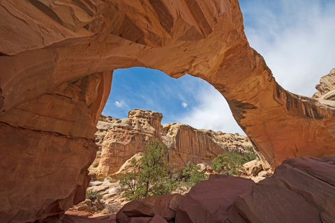 An image depicting the trail Rim Overlook Trail and its surrounding area.