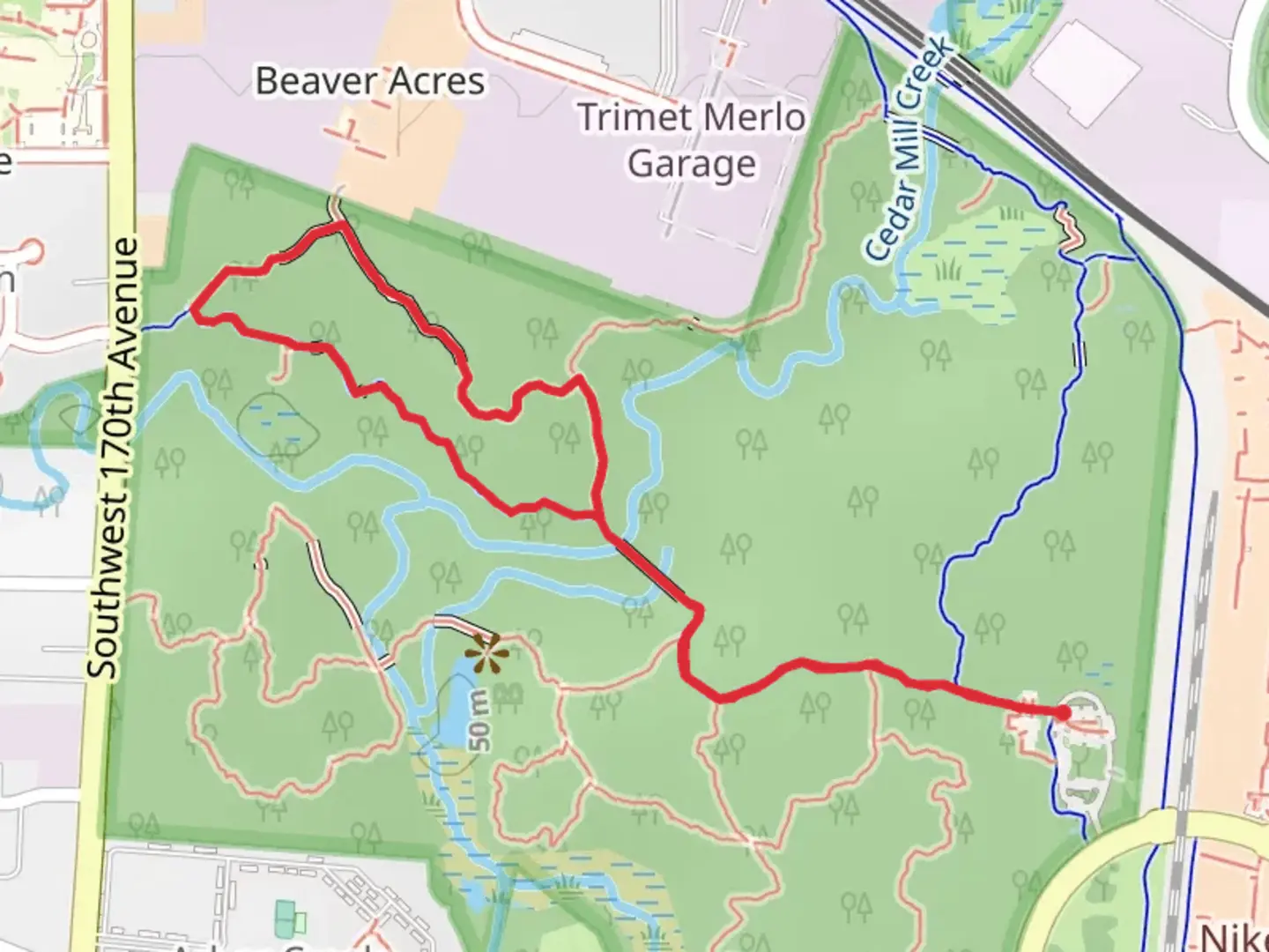 An image depicting the trail Mink Path, Old Wagon Trail and Vine Maple Trail and its surrounding area.